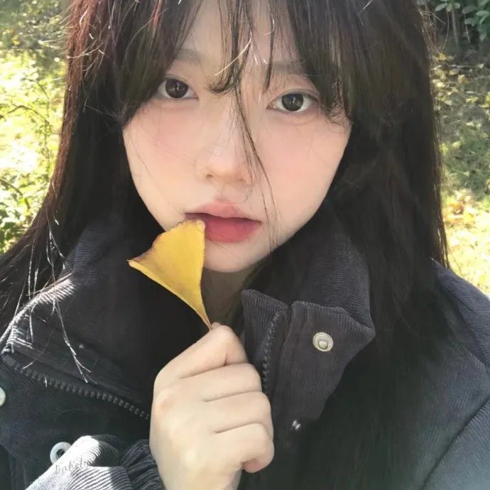幽灵登山家